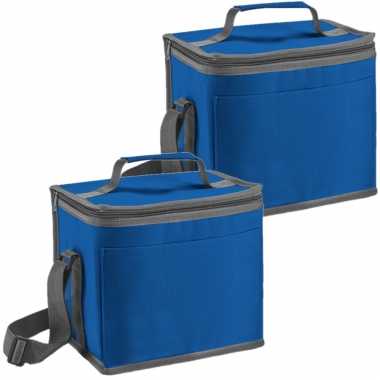 Set van 2x stuks kleine koeltassen voor lunch blauw 24 x 22 x 17 cm 9 liter