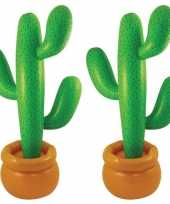 2x opblaasbare mega cactussen 170 cm