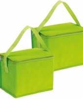 2x stuks kleine koeltassen voor lunch groen 20 x 13 x 17 cm 4 5 liter