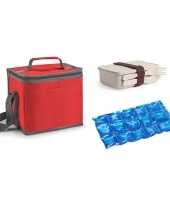 Kleine koeltas voor lunch rood met lunchbox met bestek en flexibel koelelement 9 liter