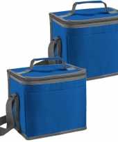 Set van 2x stuks kleine koeltassen voor lunch blauw 24 x 22 x 17 cm 9 liter